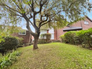 Garden- click for photo gallery